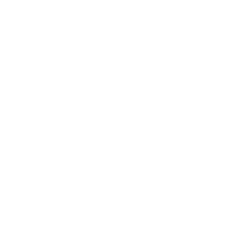 objetivo